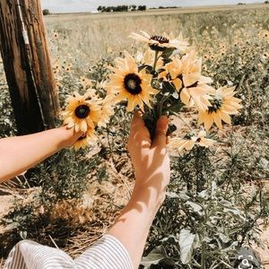 Meet your Posher, Natalie